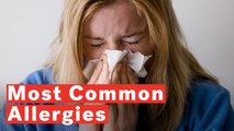 10 Most Common Types Of Allergies