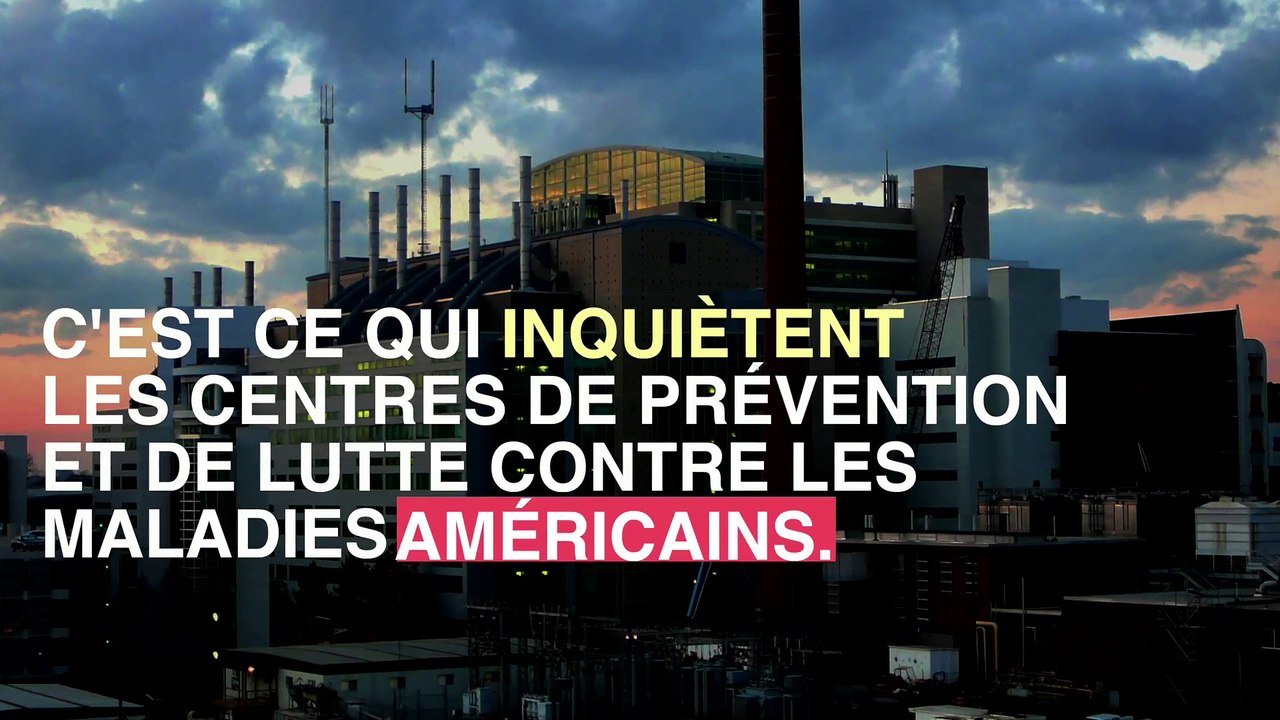 Des tiques asiatiques à l'origine de fièvres hémorragiques mortelles