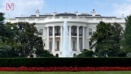 Trump Didn't Tell Joint Chiefs Chairman About Syria Pullout Before Decision Was Made: Report