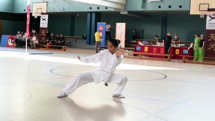 Sports: Wu Wei Cup 2018 Tai Chi Chuan in Hamburg Germany with Douwe Geluk