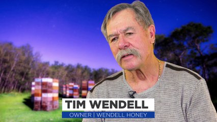 Wendell Estate Honey – Making the Highest Quality Honey since the Early 1930s