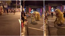Cão enlouquece e fica descontrolado ao ver biscoitos gigantes à solta nas ruas