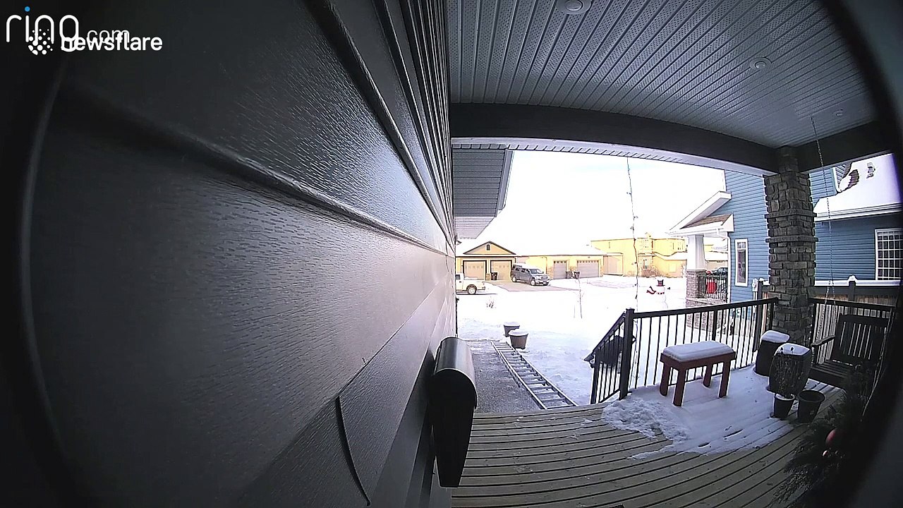 Canadian man painfully falls putting up Christmas lights when his ladder slips