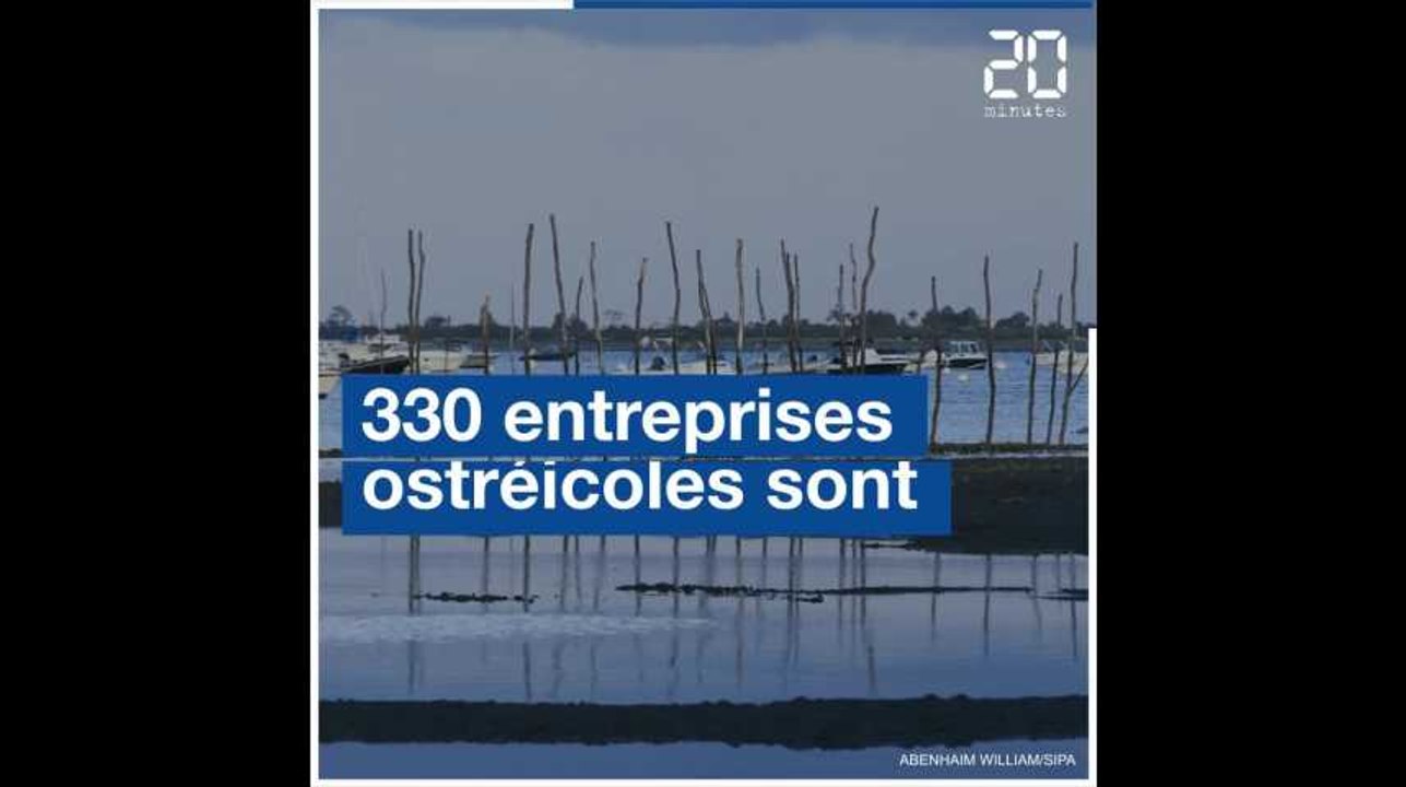 La filière ostréicole du Bassin d'Arcachon s'emballe pour les fêtes