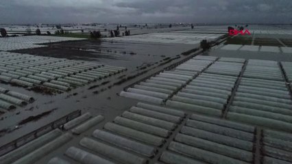 Mersin Tarsus'ta Seralar Su Altında Kaldı - Ek