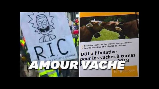 Les votations exotiques suisses vus de France font bien rire les Suisses