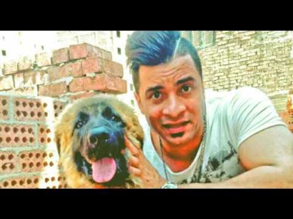 ريمكس مهرجان ازرعها بلح | غناء حسن شاكوش | توزي...