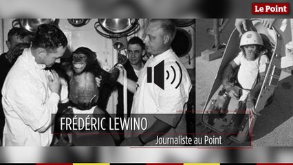 31 janvier 1961 : le jour où le chimpanzé Ham devient le premier astronaute américain