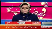 Asma Shirazi's Views On The Arguments In Azizia Reference