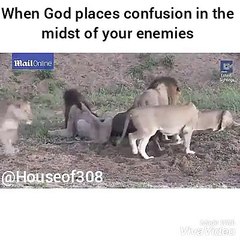 Can this ever be possible