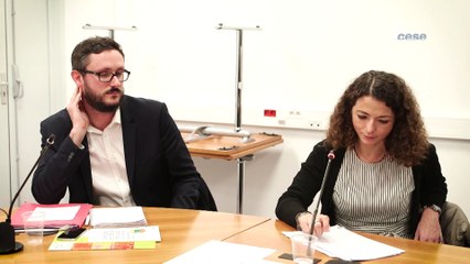 Questions à Sandrine POLYCHRONOPOULOS (IRA) - avenir du travail - cese