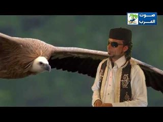 استوره الربيعى التحدى