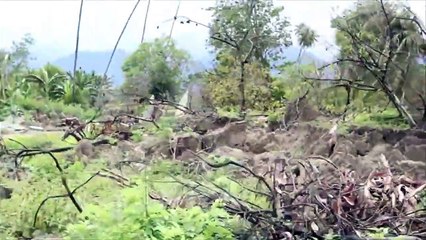 Months after the Sulawesi earthquake towns are still in ruins