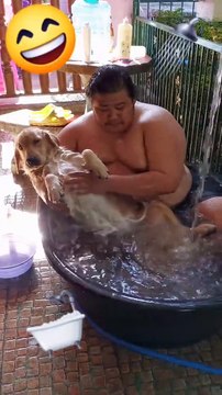 Ce chien kiffe son bain version Spa et Massage !