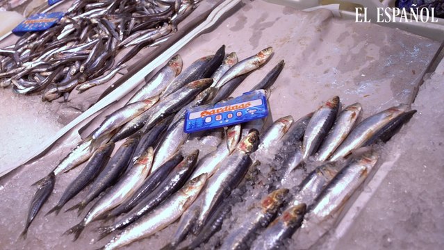 Recomendaciones de pescado y marisco para esta Navidad