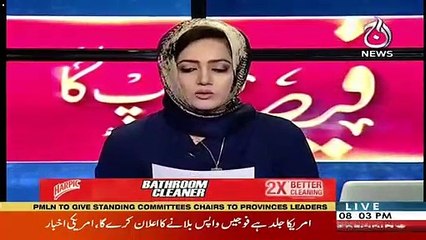 Asma Shirazi's Views On The Arguments In Al-Azizia Reference