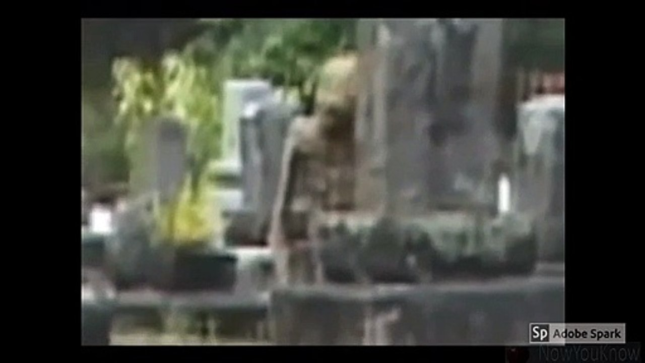 Top 5 Aliens Caught On Camera