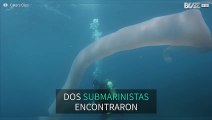 Submarinistas hacen un extraño hallazgo bajo el mar