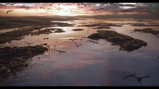 ASLAN KRAL (2019) Türkçe Dublajlı Fragman, Ünlü Filmin 2019 Versiyonu, Macera Filmi