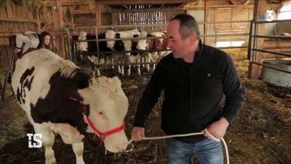 Ocampos, Papin, Nasri : ces vaches au nom des joueurs de l'OM