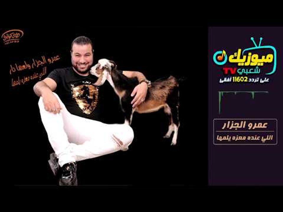 اللي عنده معزه يلمها " عمرو الجزار  " حصريات قن...