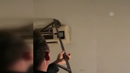 Muğla'da Klimaya Giren Yılanı İtfaiye Ekibi Çıkardı