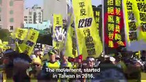 Taiwan's 'yellow vests' hit the streets of Taipei