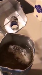 Ce qu'il découvre dans son jus de coco est répugnant