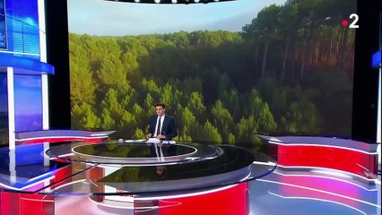 Energie solaire : la centrale de la discorde