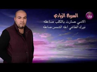 الشاعر عماد رعد الزيادي || السريع الزيادي || 2017