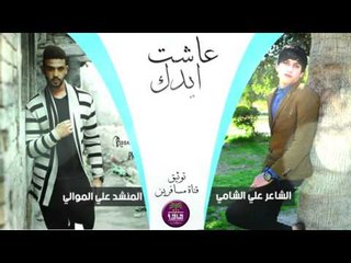 الشاعر علي الشامي والمنشد علي الموالي || عاشت ايدك || 2016