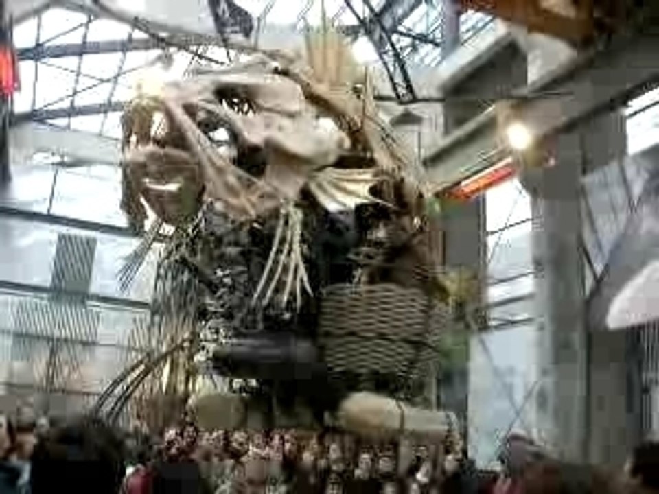 poisson pirate-machines de l'ïle-Nantes