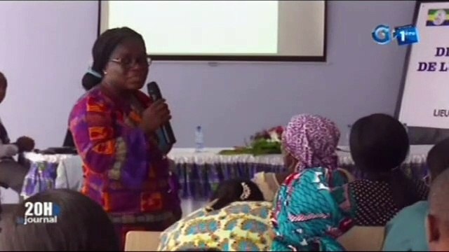 RTG - Atelier de validation de la stratégie nationale de lutte contre la violence basées sur le genre