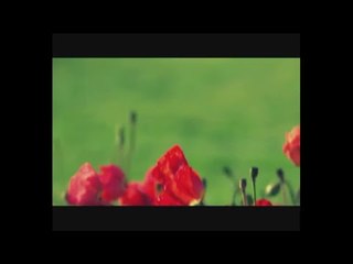 ‫قناة الطليعة الفضائية - الصفحة الرسمية‬‎ Live Stream
