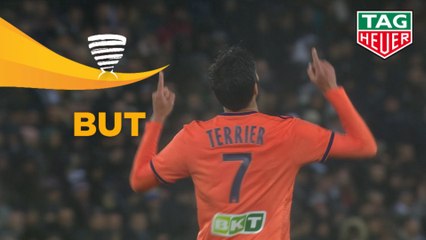 But Martin TERRIER (60ème) / Amiens SC - Olympique Lyonnais - (2-3) - (ASC-OL) / 2018-19