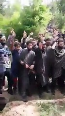 Pakistan Tehreek e Insaf Haripur