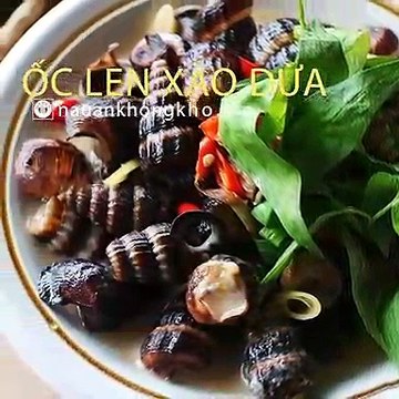 Cách làm ỐC LEN XÀO DỪA thơm ngon béo ngậy - Nauankhongkho.vn