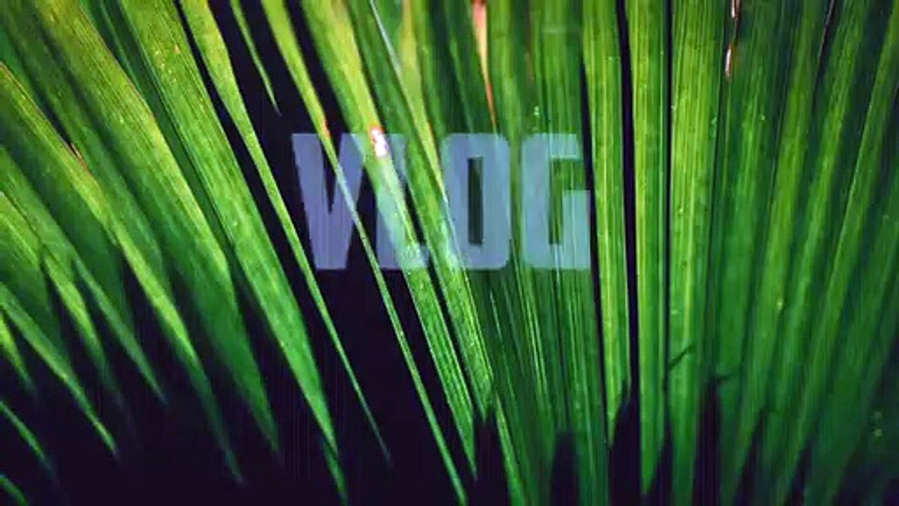 Niya - A Deliverance (Vlog No Copyright Music)