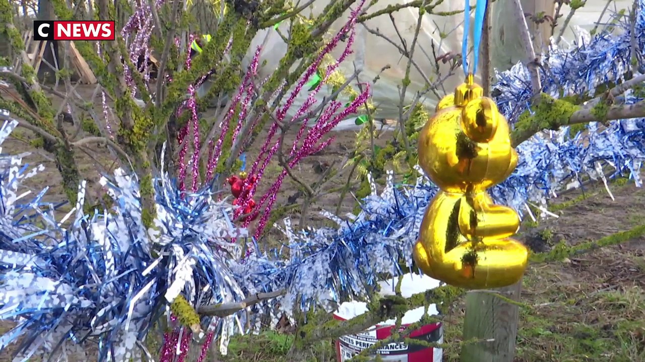 A Marmande, les gilets jaunes passeront Noël sur un rond-point