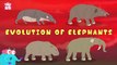 EVOLUTION OF ELEPHANTS! | The Dr. Binocs Show | BEST LEARNING VIDEOS For Kids | Peekaboo Kidz