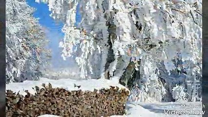 Happy Winter Season Wishes video