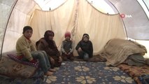 Pkk-Ypg'nin Zulmünden Kaçan 13 Kişilik Aile Tekrar Evine Dönmek İçin Operasyonu Bekliyor-...