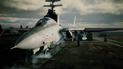 Ace Combat 7  F-14D
