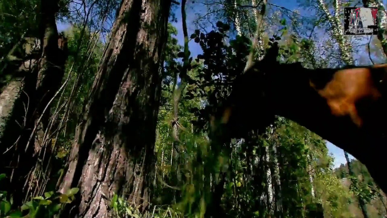 Мир Диких Животных- Шаргантаж