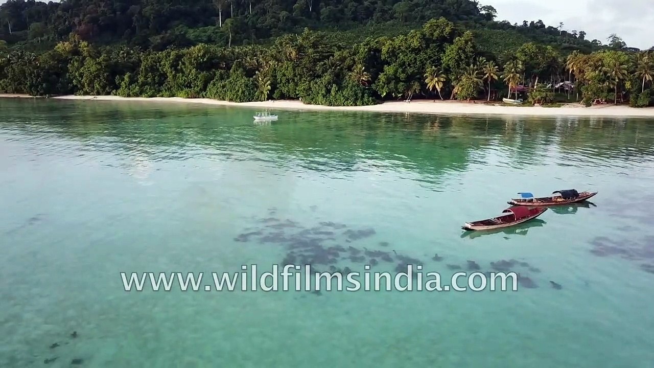 Andaman Islands - aerial view of pristine beaches and thick rain forests in India