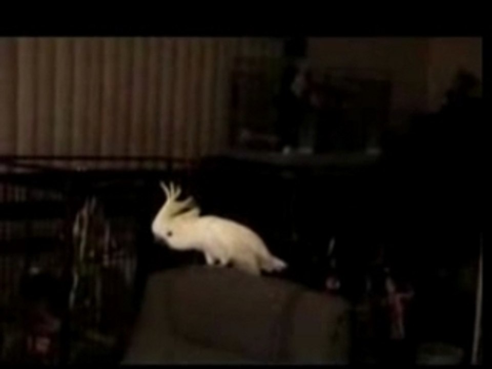 1980 funk notes ppères ok