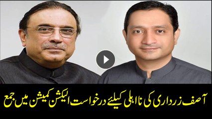 PTI files disqualification reference against Zardari