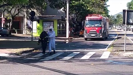 Download Video: Bombeiros ajudam moradores em Jardim da Penha contra abelhas