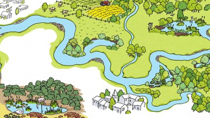 Évolution des stratégies et des pratiques de gestion du trait de côte sur le littoral sableux de la région Occitanie
