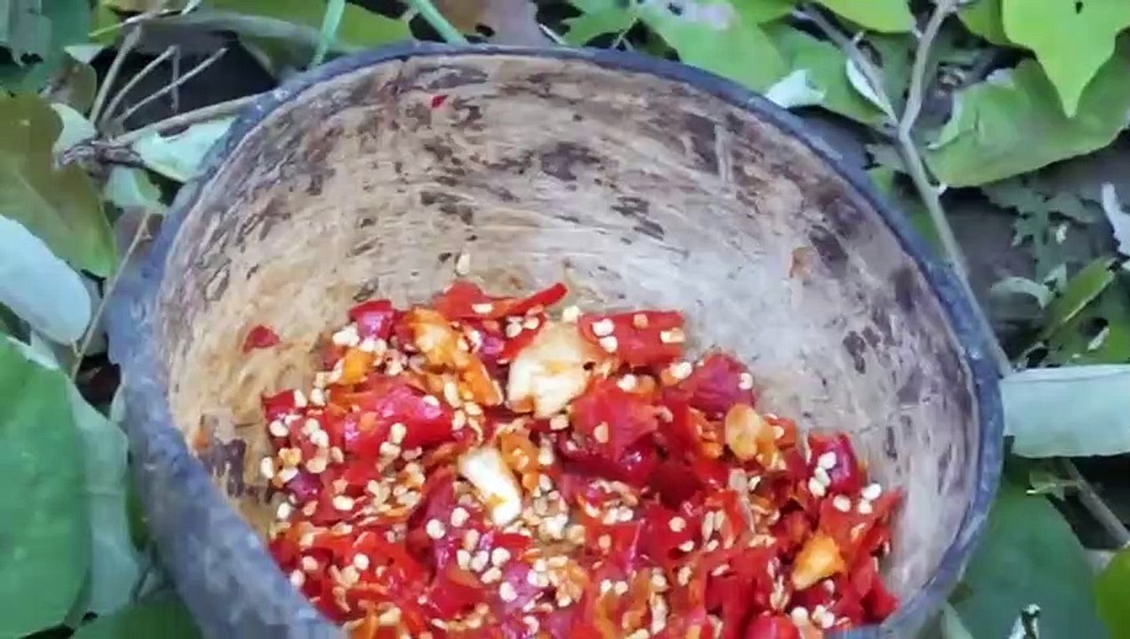 The food of the wilderness boy, the chicken in the wild, the meat is delicious, so delicious.